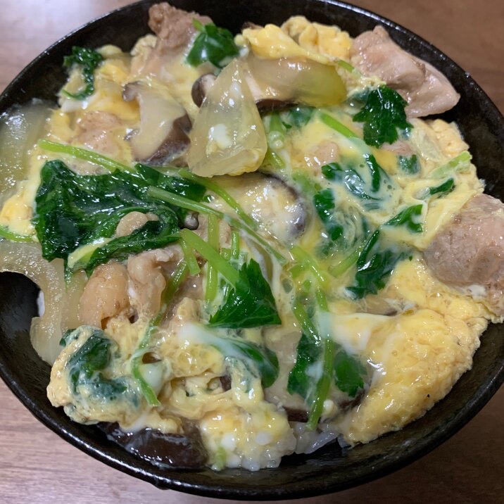 三つ葉と鶏肉たっぷり親子丼